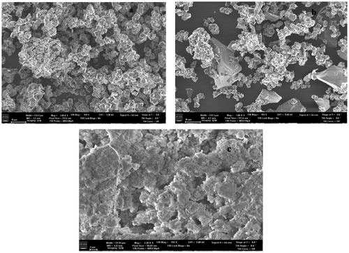 Figure 10. SEM of (a) Zeolite A; (b) SEM of Zeolite A formulated with 60% Silica; (c) SEM of Zn exchanged Zeolite A.