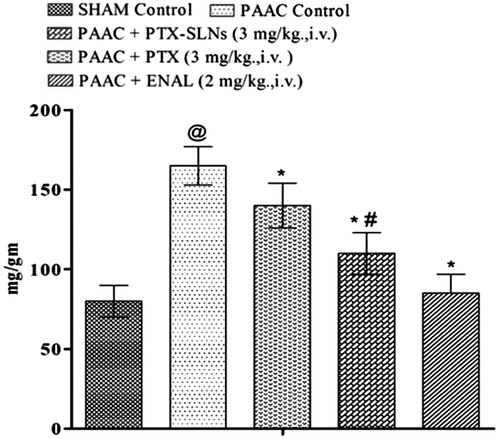 Figure 8. Effect of Pharmacological interventions on left ventricular protein content. @p < 0.05 versus Sham control, *p < 0.05 versus PAAC control, #p < 0.05 versus PAAC + PTX (3 mg kg−1). PAAC, partial abdominal aortic constriction, protein content expressed as mg protein in left ventricle to left ventricular weight in gram; PTX, pentoxifylline; ENAL, enalapril; PTX + SLNs, nanoparticles of pentoxifylline.
