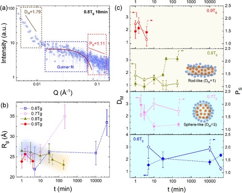 Figure 2. a. Illustration of different regions of SAXS data for analysis. The blue, brown, and red squares illustrate the Guinier region, power-law region, and Porod region, respectively. The red line represents the Guinier fit. b. The radius of gyration Rg. c. The surface fractal dimension, PS (filled symbol), and power law exponent, DM (open symbol), for structural heterogeneities as functions of annealing time during the winding process.