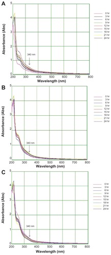 Figure 4 Ultraviolet-visible bioreduction kinetics in the 200–800 nm range for colloidal AgNO3 solution with 5 mL of Trianthema decandra root extract (A), 10 mL of T. decandra root extract (B), and 15 mL of T. decandra root extract (C).