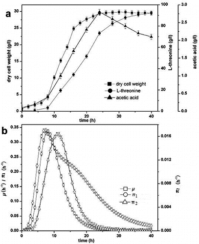 Figure 1. L-threonine production process under initial conditions. Specific production rate of L-threonine (π1); specific production rate of acetic acid (π2).