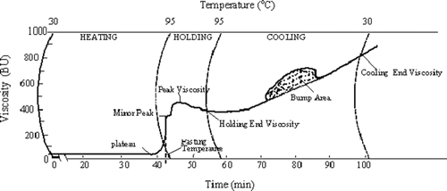 Figure 2 A typical bread crumb amylogram showing the definitions of the amylogram characteristics used in this study (BU: Brabender units).