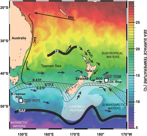 Figure 1. Modern SST (March 2013; Naval Research Laboratory–Navy Coastal Ocean Model [Internet]. Available from: http://www7320.nrlssc.navy.mil/) and positions of the main water bodies, fronts and surface currents in the western sector of the Southern Ocean (after Orsi et al. Citation1995). S-Tasman Rise, South Tasman Rise; Ch. Rise, Chatham Rise; SEC, South Equatorial Current; EAC, East Australia Current; EAUC, East Auckland Current; ECC,  East Cape Current; TF, Tasman Front; N-STF, North Subtropical Front, S-STF, South Subtropical Front; STFZ, Subtropical Frontal Zone; SAF, Subantarctic Front.