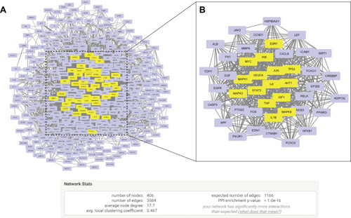 Figure 2 The potential targets though which BBR regulate HUA. The protein-protein interaction (PPI) network of 82 BBR-HUA common genes after (A) the first screen or (B) the second screen (Yellow node: core targets).