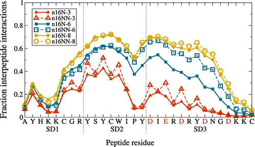 Figure 5. (Colour online) Average frequency of each n16N or n16NN residue being involved in aggregation-enabling interpeptide hydrogen bonds, at each system size. For the n16NN systems, the anionic residues indicated along the axis in red are replaced in n16NN according to D N and E Q.