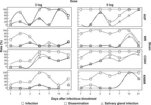 Figure 9 Infection, dissemination, and salivary gland infection rates among experimental individuals.