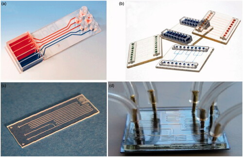 Figure 2. Image of commercially available lab-on-chip.