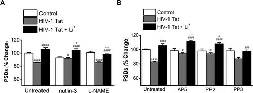 Figure 2. Lithium potentiates synapto-protective effect mediated by activation of NMDA receptors. A, Bar graph summarizes the effects of inhibitors on changes in PSD95 intensity (PSDs) 24 h after treatment under control, HIV-1 Tat-treated (HIV-1 Tat) or HIV-1 Tat and Lithium-treated conditions (HIV-1 Tat + Li+). Cultures were treated with 1 µM Nutlin-3 or 100 µM L-NAME for 30 min following addition of HIV-1 Tat. Data are expressed as mean ± SEM; ****p < 0.0001 relative to untreated control; #p < 0.05 and ####p < 0.0001 relative to HIV-1 Tat alone (Untreated); +p < 0.05 and ++p < 0.01 relative to HIV-1 Tat + inhibitors (ANOVA with Bonferroni post test). B, Bar graph summarizes the effects of inhibitors associated with activation of NMDA receptor on changes in PSD95 intensity (PSDs) 24 hr after treatment under control, HIV-1 Tat-treated (HIV-1 Tat) or HIV-1 Tat and Lithium-treated conditions (HIV-1 Tat + Li+). Cultures were treated with 20 µM AP5 for 15 min, 10 µM PP2 and 10 µM PP3 for 1 h following addition of HIV-1 Tat. Data are expressed as mean ± SEM; ****p < 0.0001 relative to untreated control; #p < 0.05, ###p < 0.001 and ####p < 0.0001 relative to HIV-1 Tat alone (Untreated); +p < 0.05 and +++p < 0.001 relative to HIV-1 Tat + inhibitors (ANOVA with Bonferroni post test).