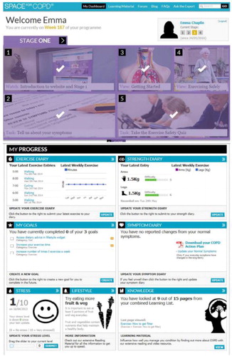 Figure 2. An example of an interactive, web-based program in pulmonary rehabilitation. This highly-innovative program assisted in both the exercise and educational self-management components in a home setting. Reproduced from Ref. (Citation50).