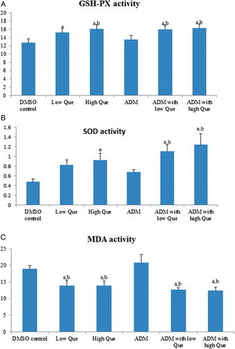 Figure 6. Que removes ROS by regulating GSH-Px, SOD, and MDA activities. (A) GSH-Px enzymatic activity comparisons among all groups; (B) SOX enzymatic activity comparisons among all groups; (C) MDA enzymatic activity comparisons among all groups. aComparison with DMSO control group, P < 0.05; bcomparison with ADM group, P < 0.05.