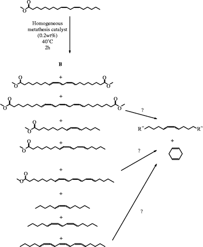 Scheme 4 Self-metathesis reaction of methyl linoleate.