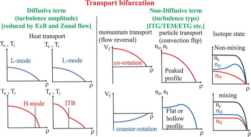 Figure 44. Diagram of transport bifurcation.