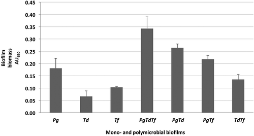 Figure 1. Formation of mono- and polymicrobial biofilms in a 96-well plate model after 48 h of incubation at 37°C under anaerobic condition. Native bacterial growth with addition of uncultured growth medium and no antibiotic served as controls. Adherent biofilms were stained with 0.1% crystal violet and the optical density at AU620 was measured. Data represent the mean AU620 value of a minimum of three biological replicates.