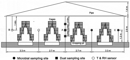 Figure 1. View of the cross-section showing sampling sites and the house structure. (A) Dust and microbial sampling site, and temperature and relative humidity (T & RH) sensor location; (B and C) microbial sampling site and T & RH sensor location.