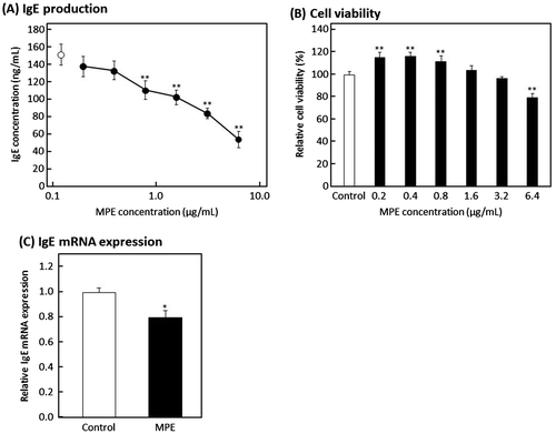 Figure 2. Effect of MPE on IgE production by U266 cells. (A) U266 cells were suspended in ITES-RPMI 1640 medium containing various concentrations of MPE or 0.5% ethanol alone (vehicle) as control and incubated for 24 h at 37 °C. Human IgE concentration in culture media was determined by an in-house-developed enzyme-linked immunosorbent assay. Open circle, control; closed circles, MPE. (B) Cell viability was measured by WST-8 assay. (C) The mRNA expression levels of IgE were evaluated by real-time RT-PCR. U266 cells were suspended in ITES-RPMI 1640 medium containing 3.2 μg/mL of MPE or 0.5% ethanol alone as control and incubated for 24 h at 37 °C. Data were represented as the mean ± standard deviation (n = 3). *p < 0.05, **p < 0.01 against control by Dunnett’s test.