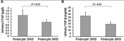 Figure 2. Urinary levels of CTGF (A) and TGF-β1 (B) in DKD patients, respectively, positive or negative for podocytes.