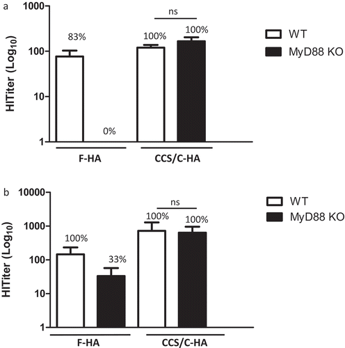 Figure 3. Adjuvant effect of CCS/C-HA does not require MyD88