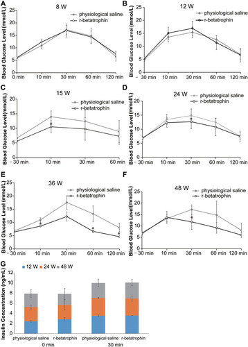 Figure 1 Oral glucose tolerance test in KM mice treated with recombinant ANGPTL8/betatrophin. Oral glucose tolerance test in 8- (A), 12- (B), 15- (C), 24- (D), 36- (E), 48- (F) week-old KM mice (n = 6), and ELISA analysis of insulin concentration 30 min after glucose gavage in 12-, 24-, and 48-week-old mice (G). The experiment was repeated three times. Data represent the mean ± SD. *Indicates a significant difference at p < 0.05.