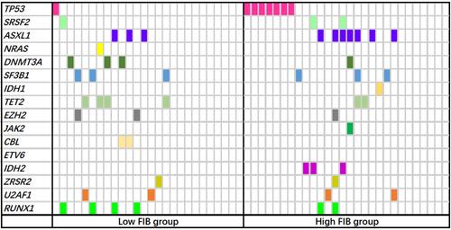 Figure 2 Mutation spectrum of 16 common genes in 54 MDS patients. Each column represents an individual patient sample, and each colored cell represents a mutation of the gene.