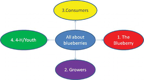 FIGURE 1 Diagram of the four primary topic areas in the “All about Blueberries” community of practice (color figure available online).