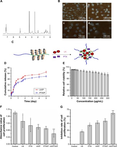 Figure 2 Characterization of nanocomplexes.Notes: (A) 1H NMR spectra of PEG-b-(PELG-g-(PZLL-r-PLL)); (B) TEM image of copolymers, (a) PEG-b-(PELG-g-(PZLL-r-PLL)), (b) LK/PEG-b-(PELG-g-(PZLL-r-PLL)), (c) PTX/PEG-b-(PELG-g-(PZLL-r-PLL)), and (d) LK/PTX/PEG-b-(PELG-g-(PZLL-r-PLL)); (C) Loading pattern diagram of PEG-b-(PELG-g-(PZLL-r-PLL)); (D) Cumulative releasing profile of LK and PTX from PEG-b-(PELG-g-(PZLL-r-PLL)) complexes (n=5); (E) Relative cell viability (n=5); (F) Absorbance value of cell proliferation (n=5); (G) Inhibition ratio of cell proliferation (n=5). Data are expressed as the mean ± SD. *p<0.01 vs control, **p<0.05 vs LK or PTX, ***p<0.01 vs LK/P or PTX/P.Abbreviations: 1H NMR, 1H nuclear magnetic resonance; LK, lumbrokinase; P, PEG-b-(PELG-g-(PZLL-r-PLL)); PEG-b-(PELG-g-(PZLL-r-PLL)), poly(ethylene glycol)-b-(poly(ethylenediamine l-glutamate)-g-poly(ε-benzyoxycarbonyl-l-lysine)-r-poly(l-lysine)); PTX, paclitaxel.