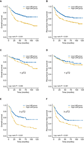 Figure 1 Kaplan–Meier curves for OS (A, C, E) and RFS (B, D, F) stratified by the LAR. (A and B), Survival curves for OS (A) and RFS (B) in all included patients. (C and D), Survival curves for OS (C) and RFS (D) in patients with pTaTisT1 tumors. (E and F), Survival curves for OS (E) and RFS (F) in patients with ≥ pT2 tumors.