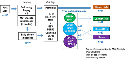 Figure 1 Patients’ flow after the first visit from November 2021 to June 2022 in National Cancer Center Hospital East.