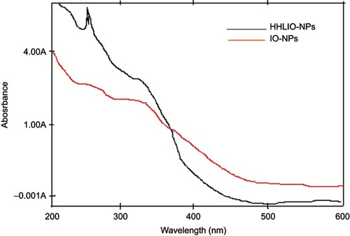 Figure 2 UV spectra of Himalayan honey loaded iron oxide nanoparticle (HHLIO-NPs) and iron oxide nanoparticle (IO-NPs).Abbreviations: HHLIO-NPs, Himalayan honey loaded iron oxide nanoparticles; IO-NPs, iron oxide nanoparticles; UV, ultraviolet.