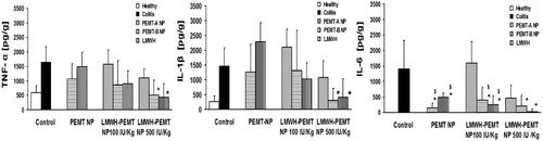 Figure 6. Levels of the inflammatory cytokines in the colon tissue of colitis mice after treatment with LMWH, blank NP and LMWH-NP. Data are shown as mean ± S.D (n = 5). *, $= p < 0.05 compared to each of the colitis control and LMWH groups respectively. Only LMWH-NP (500 IU/kg) were able to achieve an efficient and significant reduction of TNF-α IL-1β in comparison with colitis control, while LMWH (100 IU/kg) showed no significant efficiency. Both the blank and drug-loaded NP have significantly reduced the levels of IL-6.