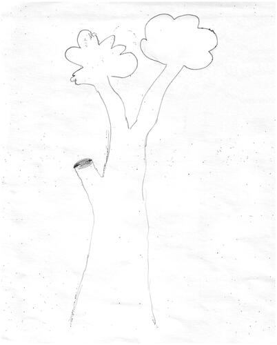 Figure 2 Sick tree.