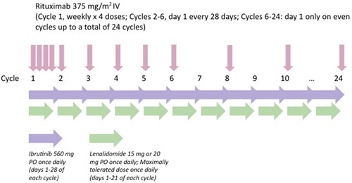 Figure 1. Treatment schema. IV: intravenous; PO: orally. Ibrutinib was administered on days 1–28 of a 28-day cycle. Lenalidomide was administered on days 1–21 of a 28-day cycle. Dose-limiting toxicities were assessed during the first treatment cycle.