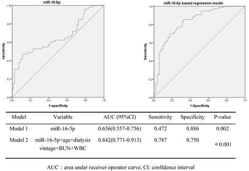 Figure 3. ROC curve analysis of miR-16-5p and other predictors of vascular calcification.