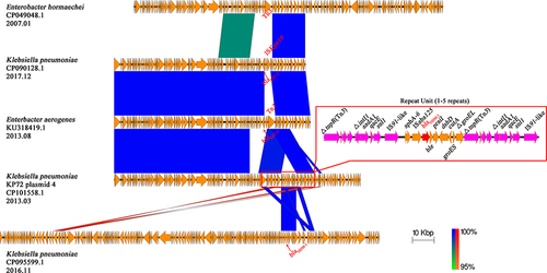 Figure 6 Comparison of the blaNDM-1 carrying KP72 plasmid 4 with other related plasmids The region spanning the blaNDM-1 on the KP72 plasmid 4 is detailed in the red box, and the repetitive elements are colored with purple. Other genes are depicted as arrows according to their direction of transcription and are shown in yellow. The blaNDM-1 and blaKPC-2 genes are emphasized by red arrows. Blue and red shadings indicate nucleotide identities among strains.