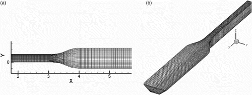 Figure 4. (a) Plan and (b) 3D view of the generated mesh in the computational domain.