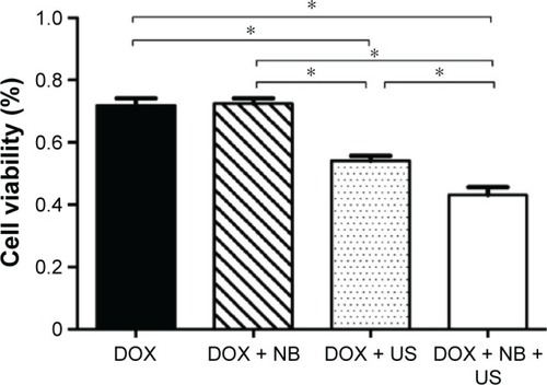 Figure 2 Growth-inhibition assay (CCK-8) for PC3 cells in different treatment groups.Note: *P<0.05.Abbreviations: DOX, doxorubicin; NB, nanobubble; US, ultrasound.