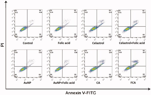 Figure 41. Cell apoptosis of 3D tumour spheroid in the control treatment group, folic acid treatment group, celastrol treatment group, celastrol and folic acid treatment group, AuNP treatment, AuNP and folic acid treatment, CA treatment treatment group and FCA treatment group.