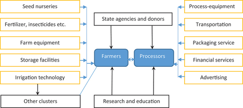 Figure 1. An agricultural cluster as a combination of various actors.