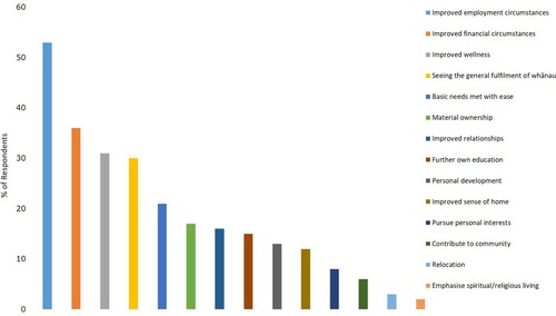 Figure 2. Domain summary themes for respondents’ goals and dreams.