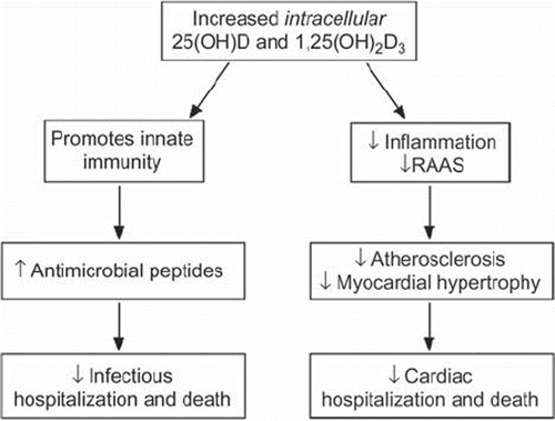 Figure 2. Sequence of events in the pathogenesis of cardiovascular disease and infectious diseases secondary to vitamin D deficiency.