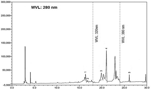 FIGURE 2 HPLC chromatogram of Stephania japonica extract. Peaks were compared with reference metabolites and identified as: 1: caffeic acid; 2: (–)-epicatechin; 3: p-coumaric acid; 4: rutin hydrate; and 5: querecetine.