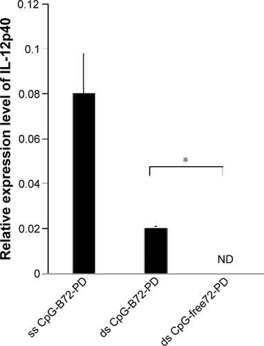 Figure S3 Free ds CpG-B72-PD is a proinflammatory cytokine inducer.Notes: RAW264.7 cells were stimulated with free ss CpG-B72-PD, ds CpG-B72-PD, and ds CpG-free72-PD. After 6 h, total RNA was recovered, and relative IL-12 and IFN-β transcript levels were evaluated by quantitative real-time PCR. ODN concentration was 50 μg/mL. IFN-β transcript was not detected in cells stimulated with any ODN. *p<0.05.Abbreviations: ds, double stranded; CpG-B, class B CpG; PD, phosphodiester; ss, single stranded; CpG, cytosine-guanine; IL, interleukin; IFN, interferon; ODN, oligodeoxynucleotide; ND, not detected.