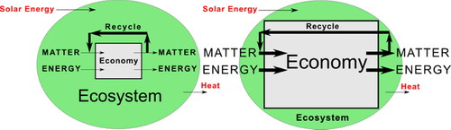 Figure 1. As economic growth proceeds, material and energy use (throughput) increases, expanding into ecosystems, degrading their functionality. Source: Author’s own, adapted from Daly (Citation2015).