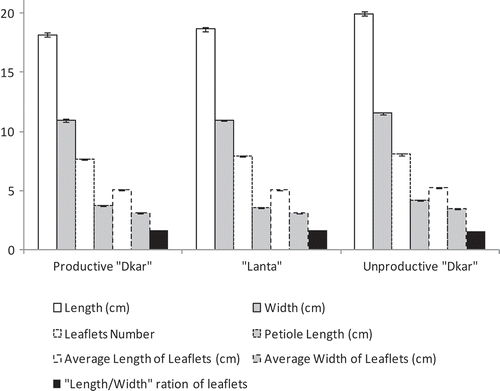 Figure 2. Leaf and leaflets characteristics in carob species categories (Gharnit et al., Citation2005).