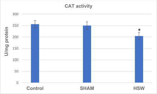 Figure 2. CAT activity values of rats in all groups. *indicates significant difference compared to the control group (p < 0.05). Note: Control, no procedure was applied to rats; Sham, a loudspeaker was placed in the center of each cage, but the rats were not exposed to noise; HSW, rats were exposed to 102 dB SPL (±1.5 dB) octave band noise centered at 50 kHz.