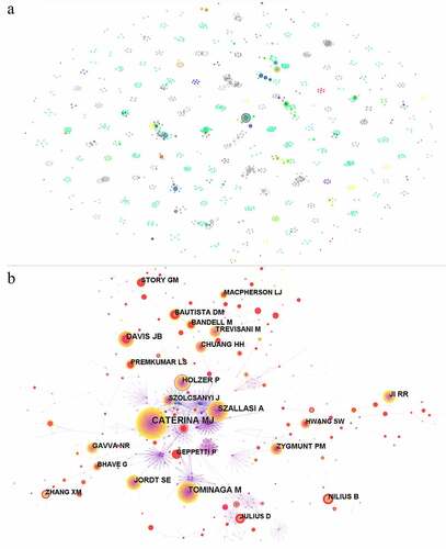 Figure 5. Analysis of authors and co-cited authors in TRPV1 channel and inflammation. Network map of authors (a) and cited authors (b) by CiteSpace.