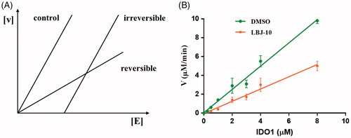 Figure 12. Inhibition type of LBJ-10. (A) Determination of the inhibition type. Reaction rate [V] is plotted against enzyme amount [E]. Curves with different slopes represent reversible and irreversible inhibitions, respectively. (B) Inhibition types of LBJ-10. Plot of reaction rate [V] against enzyme amount [E]. The concentrations of L-tryptophan and the inhibitor were 50 and 1 μM, respectively.