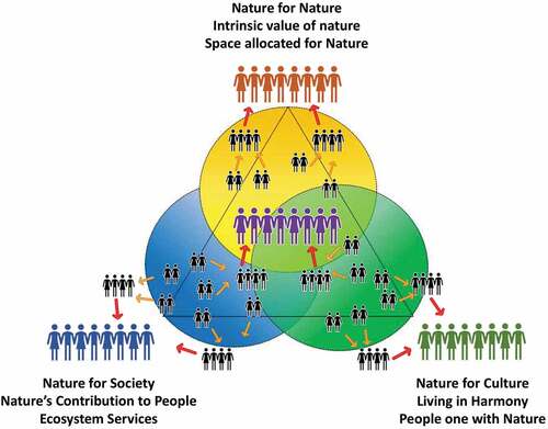 Figure 1. The Nature Futures Framework (NFF) triangle representing the three values of nature. This is purely for visualization of the process and the position of groups can change depending on the value preferred by the participants. In our study, we ended up with 3 groups of 8 and 1 group of 9 (Adapted from PBL, Citation2018).