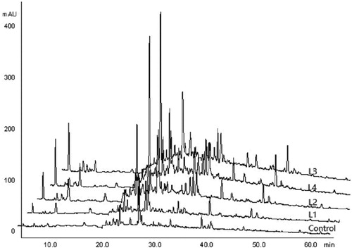 Figure 3. HPLC chromatograms on water-soluble components in the roots of C. smyrnioides subjected to different relative light intensity: 100% sunlight (Control), 60.54% sunlight (L1), 44.84% sunlight (L2), 31.39% sunlight (L3) and 10.56% sunlight (L4).