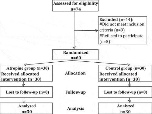 Figure 1. Flow chart of the studied cases.