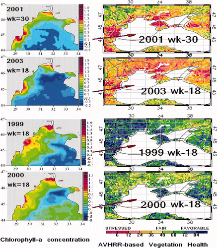 Figure 3. Advanced Very High Resolution Radiometer (AVHRR) based Vegetation Health Index (VHI) and chlorophyll-a concentration in the northwestern Black Sea for various VHI-based land conditions. In 2001 and 2003, VHI indicated stressed vegetation conditions (red/yellow colour) on the land and the average chlorophyll-a concentrations in the water were 2.51 and 1.61 mg m−3, respectively. In 1999 and 2000, VHI indicated healthy vegetation conditions (blue/green colour) on the land and the average chlorophyll-a concentrations in the water were 3.85 and 3.76 mg m−3, respectively. Available in colour online.